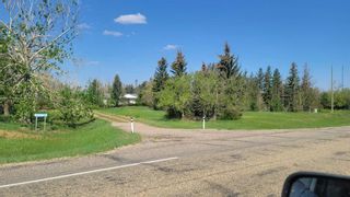 Main Photo: 39114 Highway 36 in Rural Paintearth No. 18, County of: Rural Paintearth County Agriculture for sale : MLS®# A2056482