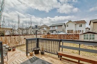 Photo 46: 24 BRIGHTONSTONE Gardens SE in Calgary: House for sale : MLS®# A2039965