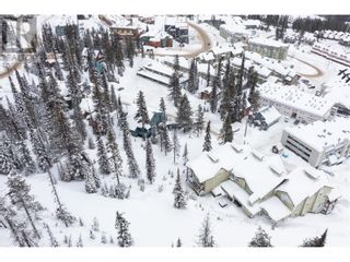 Photo 20: 7370 Porcupine Road in Big White: Vacant Land for sale : MLS®# 10304581
