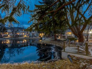 Photo 44: 190 3437 42 Street NW in Calgary: Varsity Row/Townhouse for sale : MLS®# C4288793
