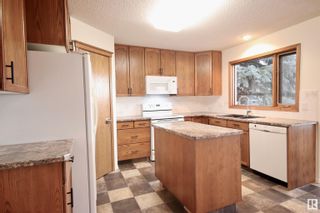 Photo 9: 11217 8 Avenue in Edmonton: Zone 16 House for sale : MLS®# E4369817