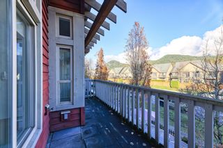 Photo 17: 13 40775 TANTALUS Road in Squamish: Tantalus Condo for sale in "ALPENLOFTS" : MLS®# R2851398