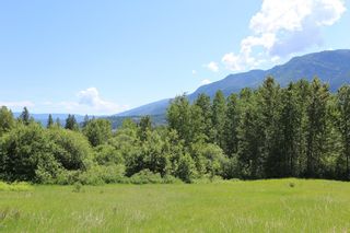 Photo 4: 37 2481 Squilax Anglemont Road in Lee Creek: North Shuswap Land Only for sale (Shuswap)  : MLS®# 10094382