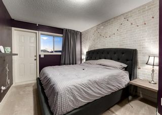 Photo 17: 203 APPLEBROOK Circle SE in Calgary: Applewood Park Detached for sale : MLS®# A1198432