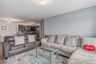 Photo 6: 1405 6118 80 Avenue NE in Calgary: Saddle Ridge Apartment for sale : MLS®# A2081706
