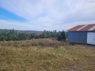 Photo 7: 3200 Clam Harbour Road in Clam Harbour: 35-Halifax County East Vacant Land for sale (Halifax-Dartmouth)  : MLS®# 202226870