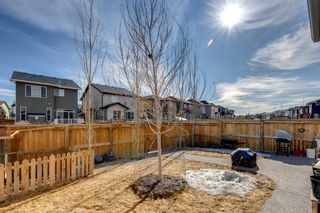 Photo 38: 112 Legacy Circle SE in Calgary: Legacy Detached for sale : MLS®# A1197368