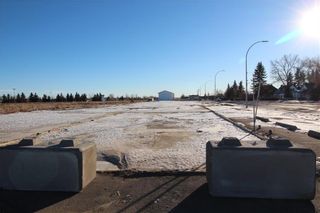 Photo 2: 660 10 Avenue S: Carstairs Commercial Land for sale : MLS®# A1108588