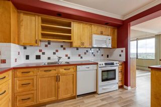 Photo 11: 1208 330 26 Avenue SW in Calgary: Mission Apartment for sale : MLS®# A2069642