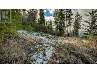 Photo 27: 8840 Eastside Road in Vernon: Vacant Land for sale : MLS®# 10306732