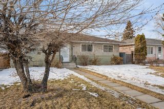 Main Photo: 1119 40 Street SE in Calgary: Forest Lawn Detached for sale : MLS®# A2021142
