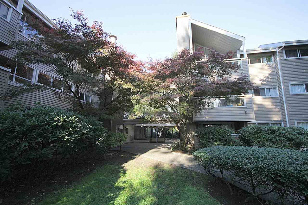 Main Photo: 109 932 ROBINSON Street in Coquitlam: Coquitlam West Condo for sale : MLS®# R2017327