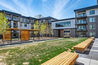Photo 26: 311 4275 Norford Avenue NW in Calgary: University District Apartment for sale : MLS®# A2049820