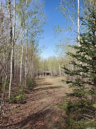 Photo 19: Lily Plain Acreage in Duck Lake: Residential for sale (Duck Lake Rm No. 463)  : MLS®# SK898122