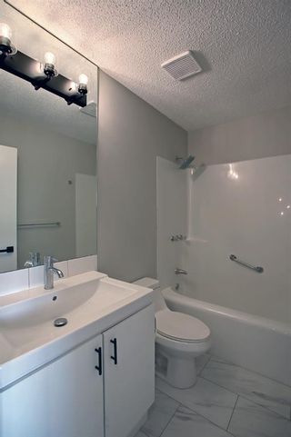 Photo 24: 815 Erin Woods Drive SE in Calgary: Erin Woods Detached for sale : MLS®# A1244913
