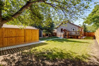 Photo 38: 2020 9 Avenue SE in Calgary: Inglewood Detached for sale : MLS®# A1250051