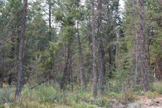 Photo 2: Lot 50 COPPER POINT WAY in Windermere: Vacant Land for sale : MLS®# 2466361