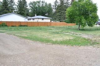 Photo 3: 236 1 Street E: Duchess Residential Land for sale : MLS®# A2103323