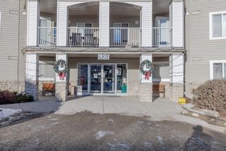 Photo 2: 3212 6818 Pinecliff Grove NE in Calgary: Pineridge Apartment for sale : MLS®# A2017439