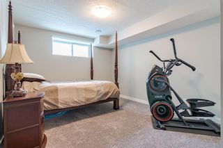 Photo 37: 201 Nolancrest Circle NW in Calgary: Nolan Hill Detached for sale : MLS®# A1208873