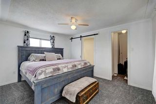 Photo 13: 20 Spring Dale Court: Airdrie Detached for sale : MLS®# A2114678