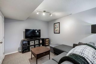 Photo 17: 220 Luxstone Place SW: Airdrie Detached for sale : MLS®# A2121810