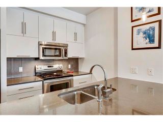 Photo 7: 302 414 MEREDITH Road NE in Calgary: Crescent Heights Condo for sale : MLS®# C4039289