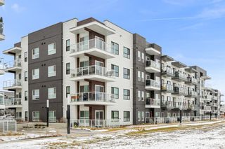 Photo 43: 324 4150 Seton Drive SE in Calgary: Seton Apartment for sale : MLS®# A1184529