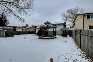Photo 44: 6303 Rundlehorn Drive NE in Calgary: Pineridge Detached for sale : MLS®# A1181029