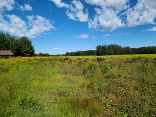 Photo 14: On Range Road 52: Rural Parkland County Commercial Land for sale : MLS®# A1252782