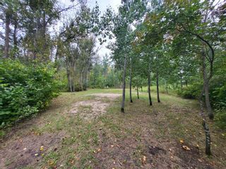 Photo 11: 0 Road 13E, 1/2 Mile North of 117N Highway in Meleb: RM of Armstrong Residential for sale (R19)  : MLS®# 202320621