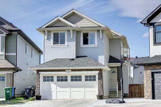 Main Photo: 55 Skyview Shores Court NE in Calgary: Skyview Ranch Detached for sale : MLS®# A2128784
