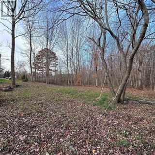 Photo 19: 15 Conquerall Road in Hebbs Cross: Vacant Land for sale : MLS®# 202325145