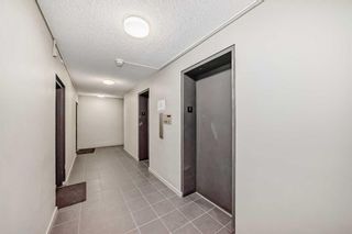Photo 20: 302 1209 6 Street SW in Calgary: Beltline Apartment for sale : MLS®# A2127613