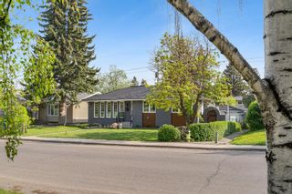Photo 45: 179 Capri Avenue NW in Calgary: Charleswood Detached for sale : MLS®# A2051983
