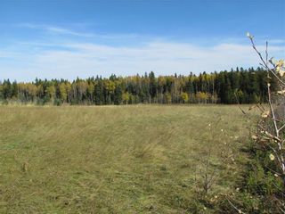 Photo 23: TWP Rd 310: Rural Mountain View County Land for sale : MLS®# C4292828