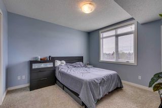 Photo 17: 402 2419 Centre Street NW in Calgary: Tuxedo Park Apartment for sale : MLS®# A2128940