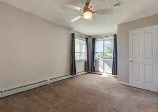 Photo 10: 306 4306 Valleyview Park SE in Calgary: Dover Apartment for sale : MLS®# A2002811