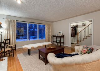 Photo 9: 1415 Craig Road SW in Calgary: Chinook Park Detached for sale : MLS®# A1180121