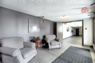 Photo 15: 309 1915 26 Street SW in Calgary: Killarney/Glengarry Apartment for sale : MLS®# A1078852
