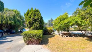 Photo 35: 19766 115 A Avenue in Pitt Meadows: South Meadows House for sale : MLS®# R2790140