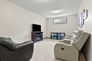 Photo 30: 288 Chaparral Valley Way SE in Calgary: Chaparral Detached for sale : MLS®# A2126630