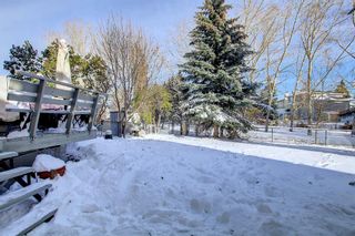 Photo 43: 156 Mt Robson Circle SE in Calgary: McKenzie Lake Detached for sale : MLS®# A2010510