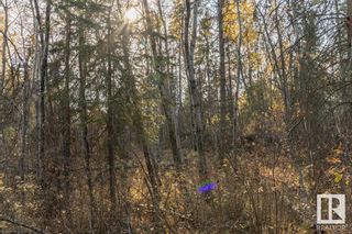 Photo 31: 6 51112 RGE RD 260: Rural Parkland County Vacant Lot/Land for sale : MLS®# E4316779