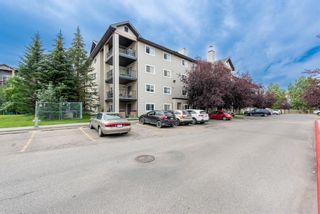 Photo 29: 3208 4975 130 Avenue SE in Calgary: McKenzie Towne Apartment for sale : MLS®# A1245282
