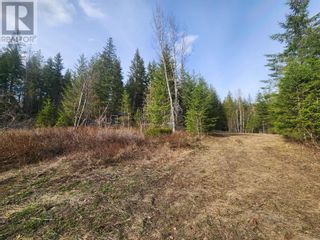 Photo 28: 712 Grange Road in Enderby: Vacant Land for sale : MLS®# 10310045