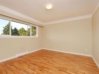Photo 8: 560 Tait St in VICTORIA: SW Glanford House for sale (Saanich West)  : MLS®# 699062