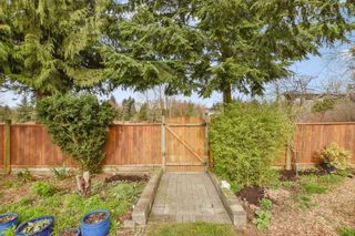 Photo 37: 31373 MCCONACHIE Place in Abbotsford: Abbotsford West House for sale : MLS®# R2862349