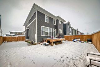 Photo 34: 93 Red Sky Road NE in Calgary: Redstone Detached for sale : MLS®# A2123684
