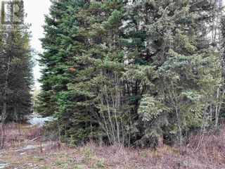 Photo 8: LOT 2 KREITZ ROAD in Prince George: Vacant Land for sale : MLS®# R2834841